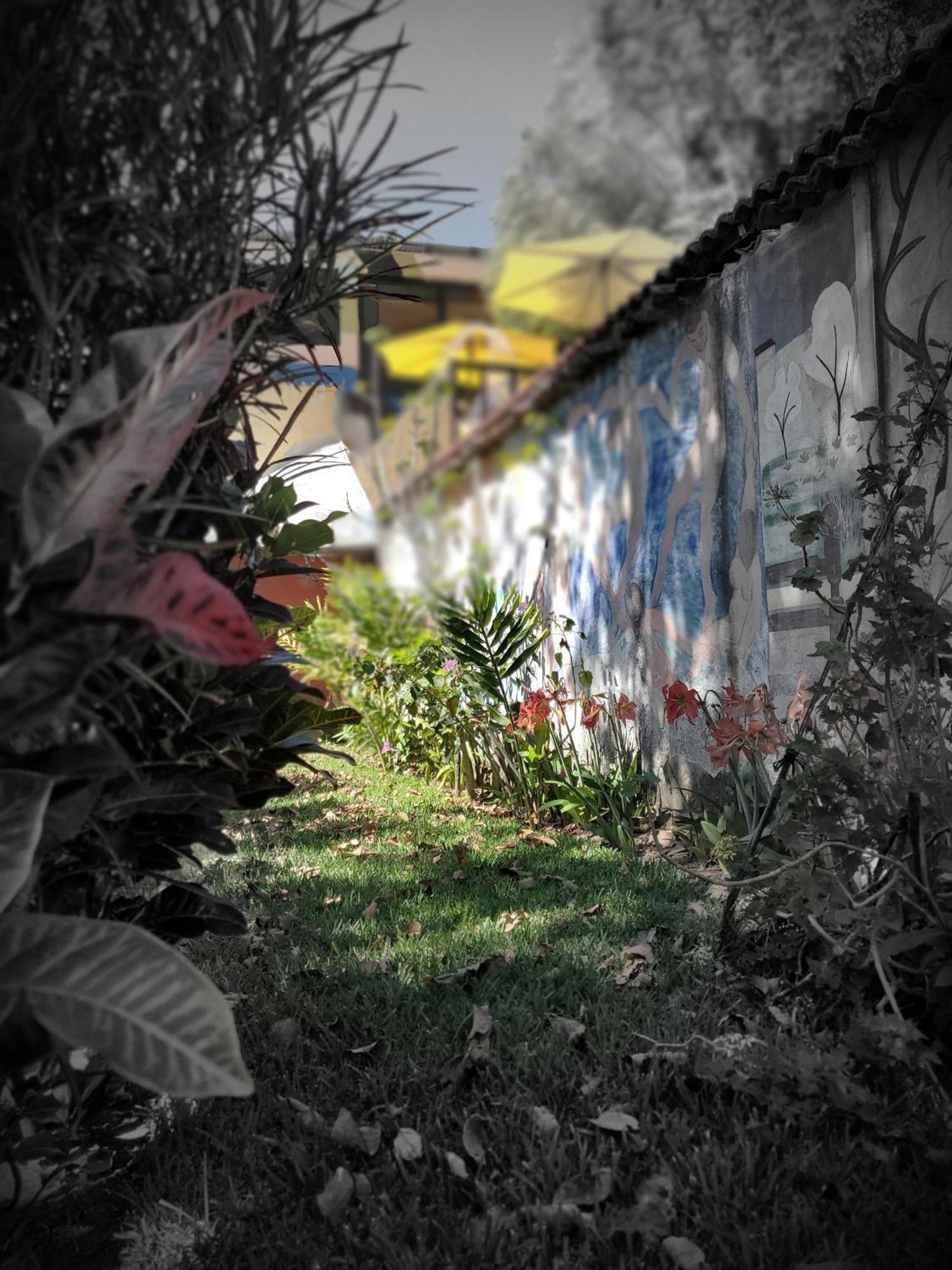 Art & Coffee Hotel Santa Cruz La Laguna Exterior photo