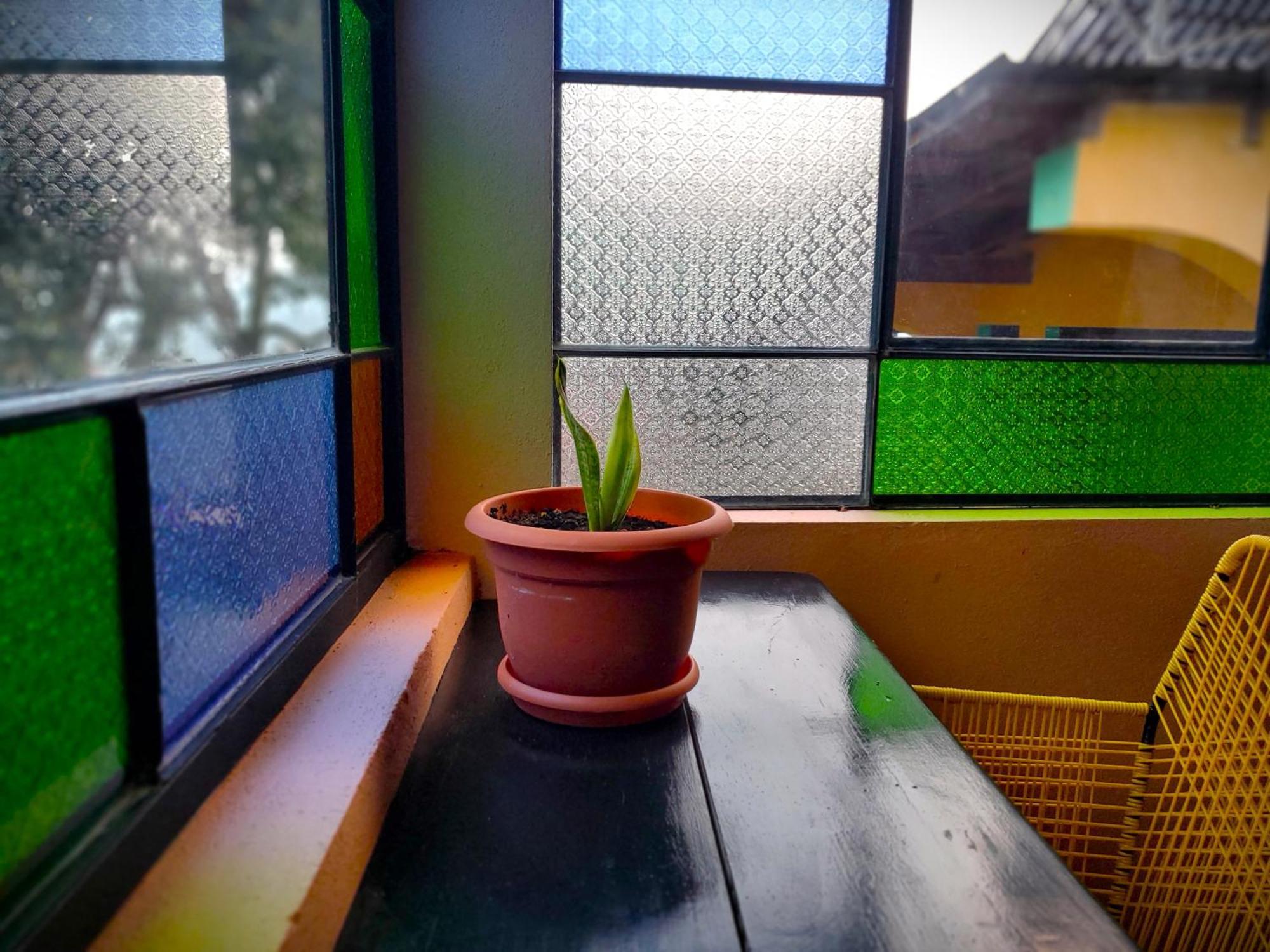 Art & Coffee Hotel Santa Cruz La Laguna Exterior photo