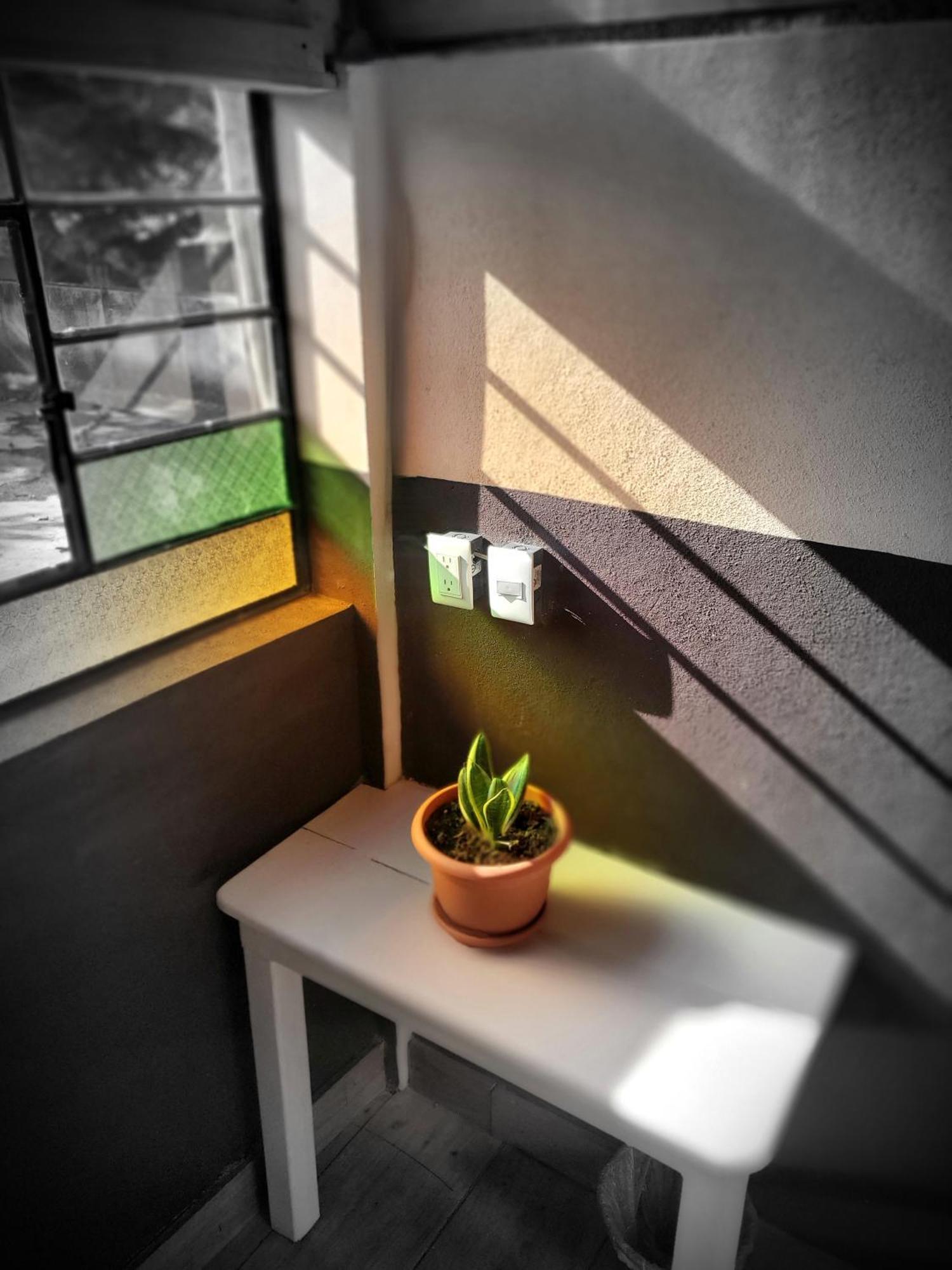 Art & Coffee Hotel Santa Cruz La Laguna Room photo